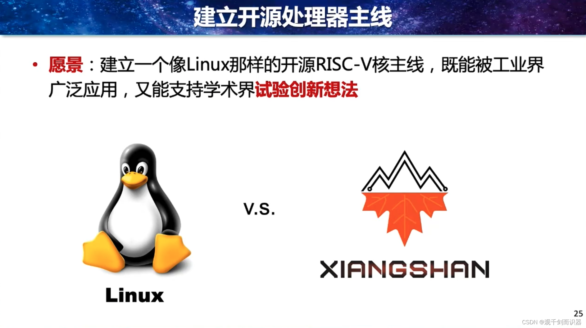 【RISC-V】站在巨人的肩膀上——看开源芯片、软件生态、与先进计算/人工智能/安全的结合插图(25)