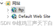 win设置ftp服务器~java通过ftp下载文件插图(2)