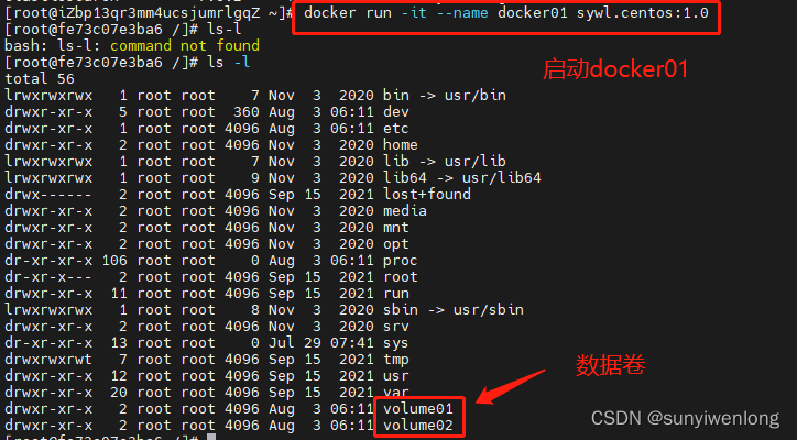 Docker最新超详细版教程通俗易懂插图(34)