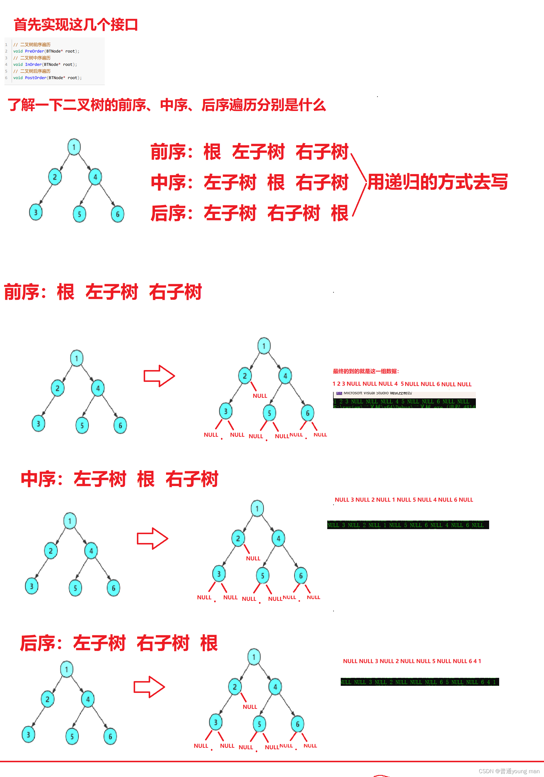 数据结构-二叉树插图(2)