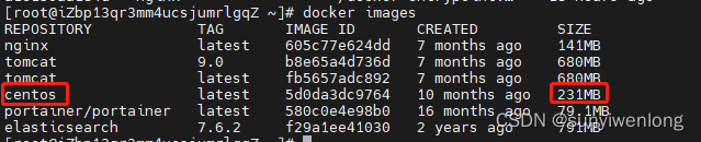 Docker最新超详细版教程通俗易懂插图(15)