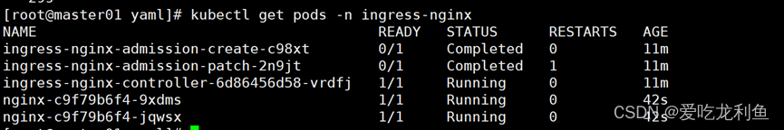 k8s学习–ingress详细解释与应用(nginx ingress controller))插图(3)