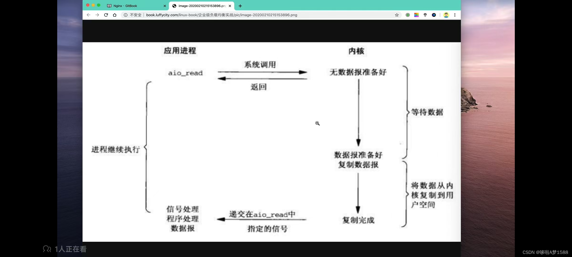 LNMP与动静态网站介绍插图(6)