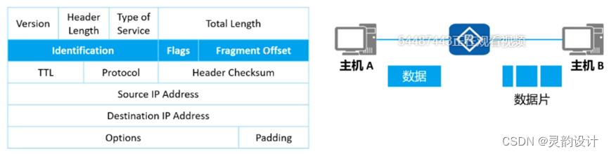 学习笔记——网络参考模型——TCP/IP模型（网络层）插图(1)