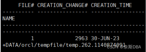 【Oracle篇】rman全库异机恢复：从RAC环境到单机测试环境的转移（第四篇，总共八篇）插图(11)