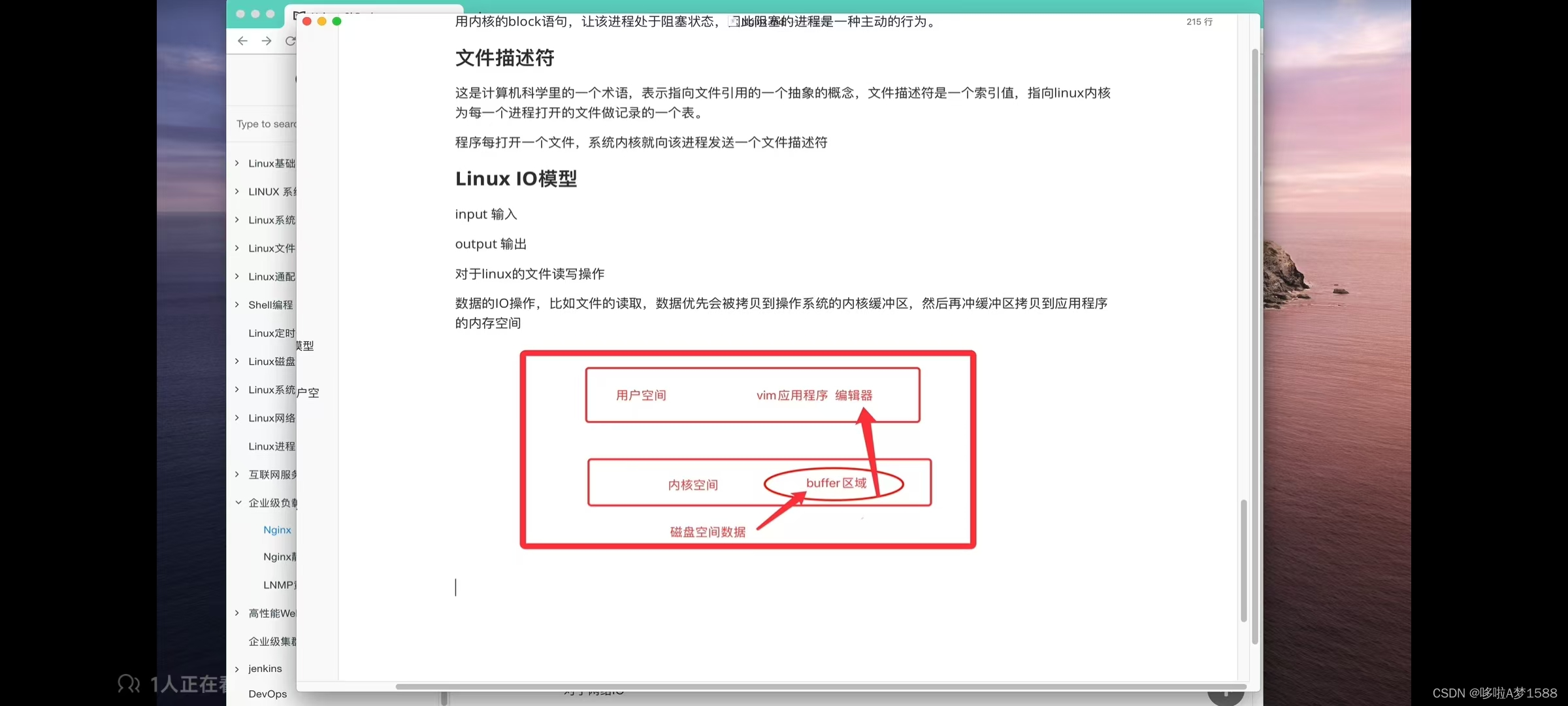 LNMP与动静态网站介绍插图(1)