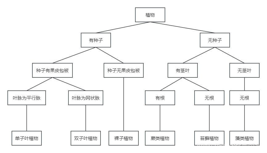 【数据结构】二叉树：简约和复杂的交织之美插图