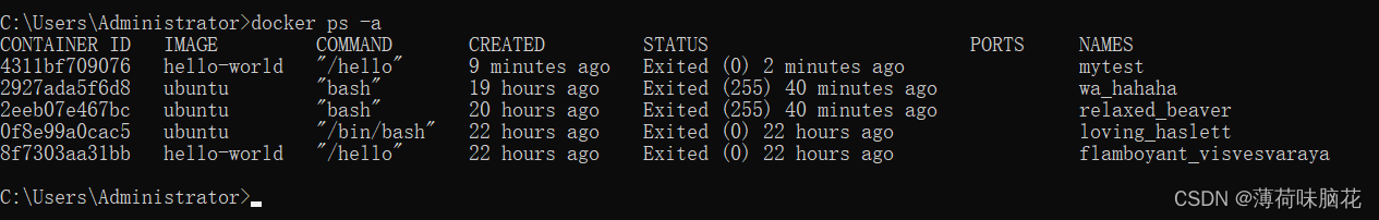 在win10中下载桌面版的docker并在docker中搭建运行基于linux的容器插图(13)