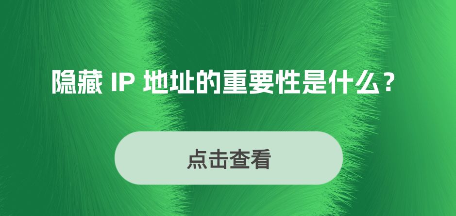 隐藏 IP 地址的重要性是什么？插图