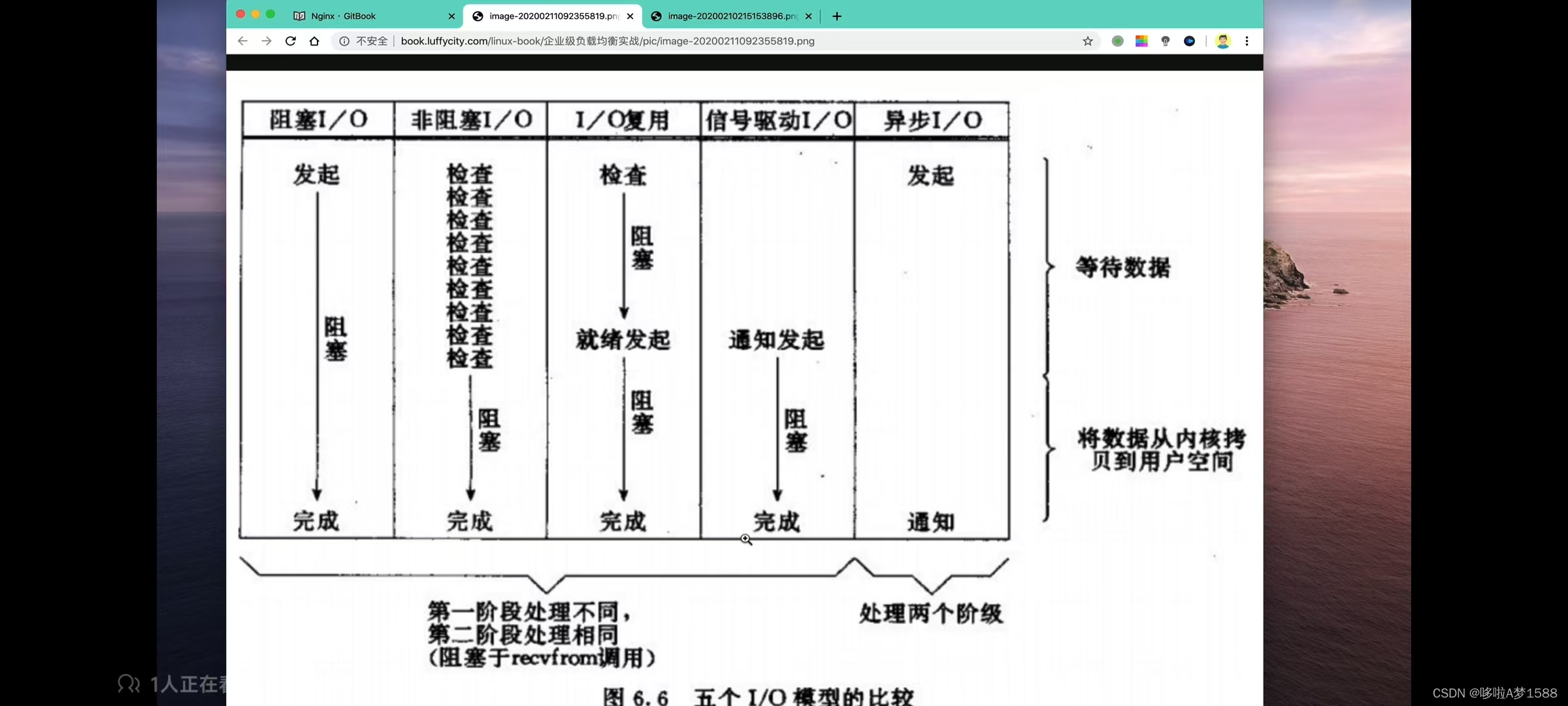 LNMP与动静态网站介绍插图(7)