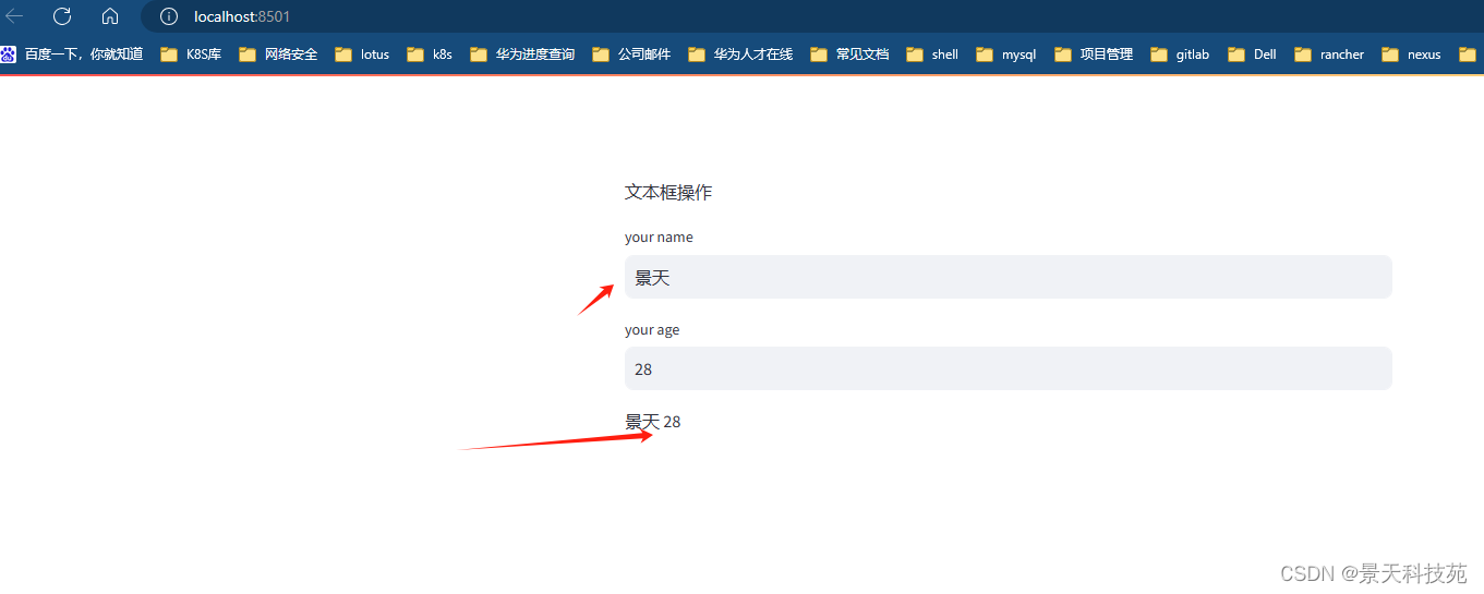 数据分析web可视化神器—streamlit框架，无需懂前端也能搭建出精美的web网站页面插图(9)