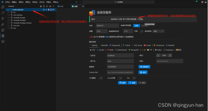 VsCode连接Mysql、Redis、MariaDB、SQL Server等数据库并进行可视化操作。无需额外的去下载可视化数据软件了，VsCode前端很方便的插件！！！插图(3)