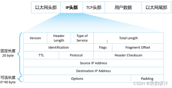 学习笔记——网络参考模型——TCP/IP模型（网络层）插图