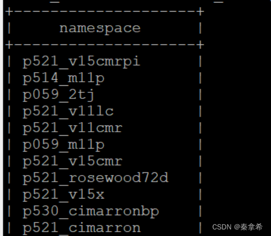 【kyuubi-spark】从0-1部署kyuubi集成spark执行spark sql到k8s读取iceberg的minio数据插图(8)