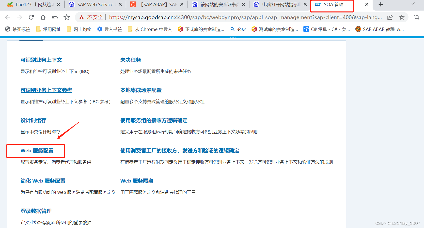 ABAP接口部分-Web Service提供者与消费者插图(37)