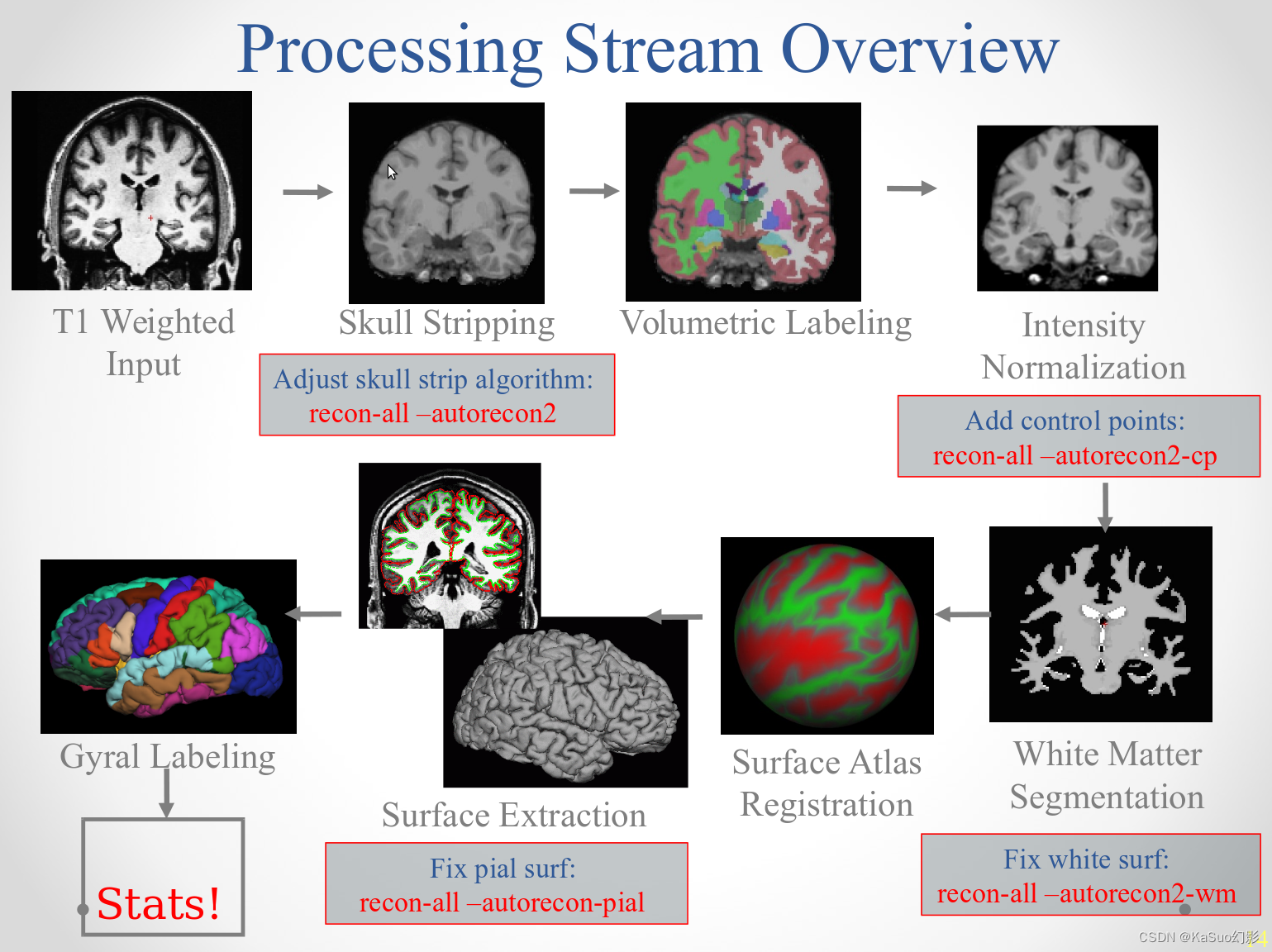 FreeSurFer的recon-all处理流——学习记录插图