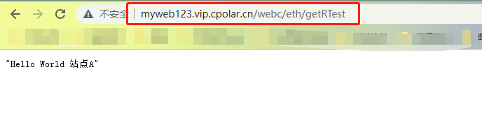 Nginx+cpolar实现内网穿透多个Windows Web站点端口插图(19)