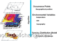 R语言BIOMOD2 及机器学习方法的物种分布模拟插图