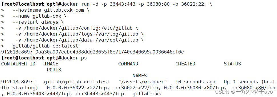 Docker部署GItLab插图(3)