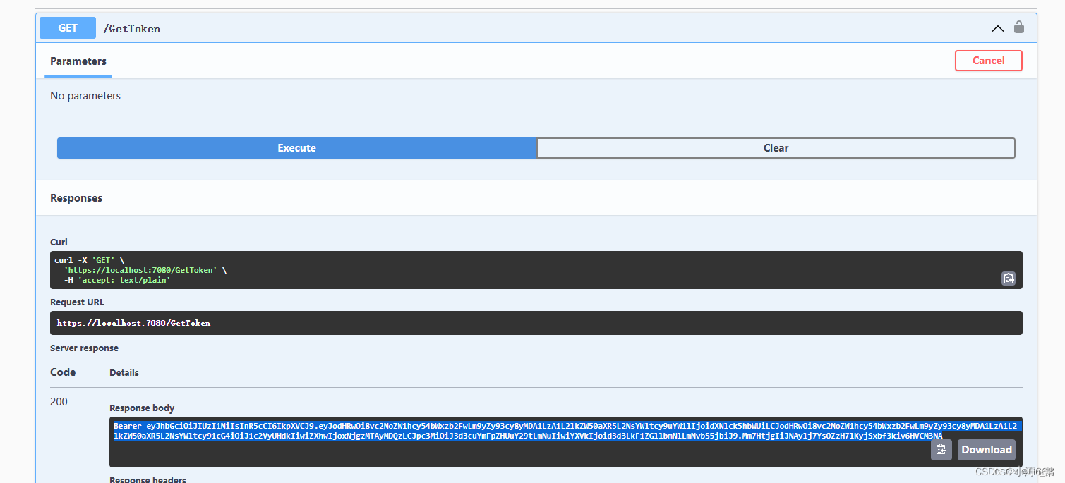 .NET 6 WebApi Swagger 配置 JWT token+Authorize认证插图(8)