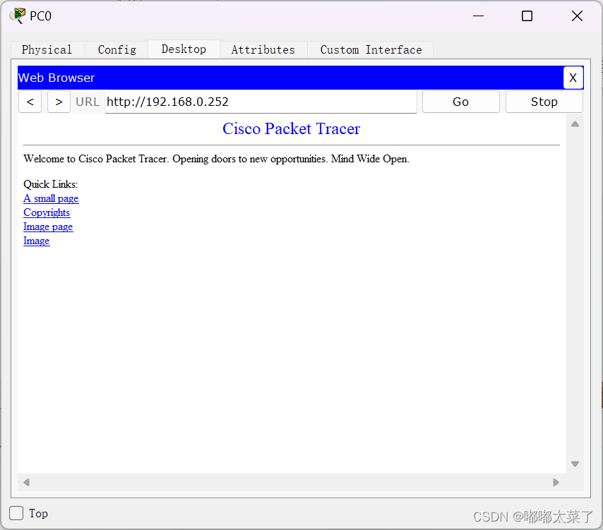 【Cisco Packet Tracer】DHCP/FTP/WEB/DNS实验插图(15)