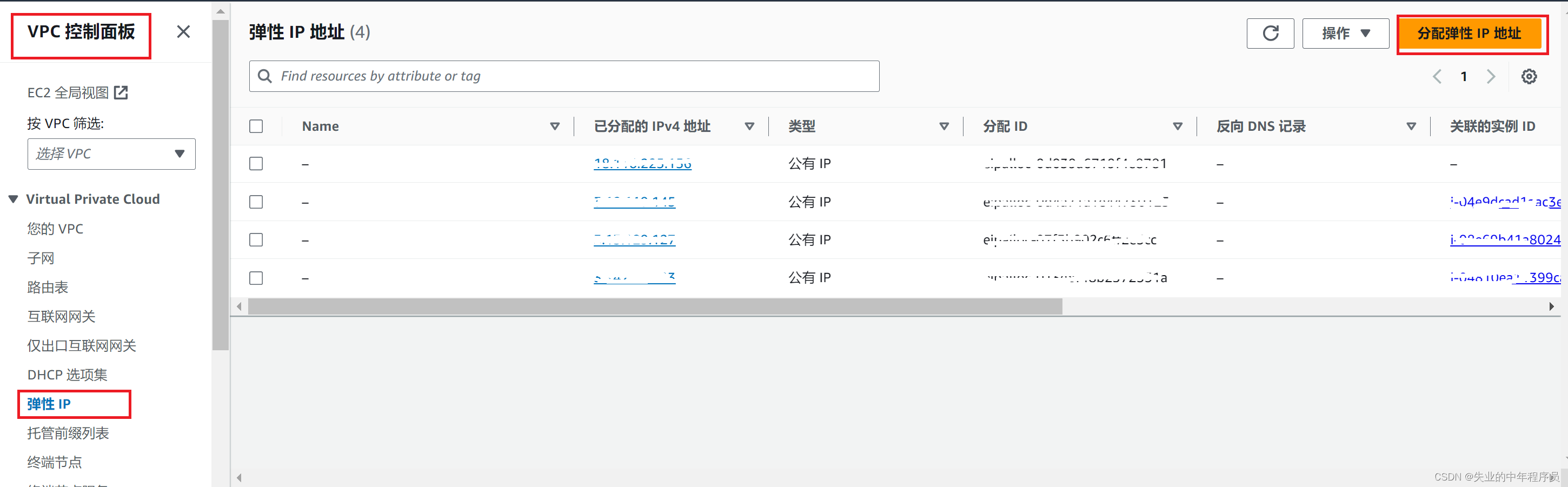 Aws EC2绑定Elastic IP(固定IP)插图