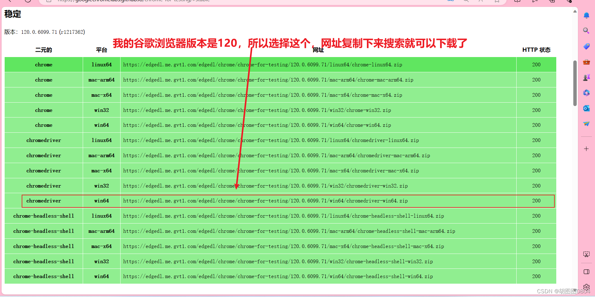 Selenium 安装 webDriver （chromedriver版）插图(3)