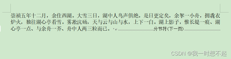 apache poi 插入“下一页分节符”并设置下一节纸张横向的一种方法插图(1)