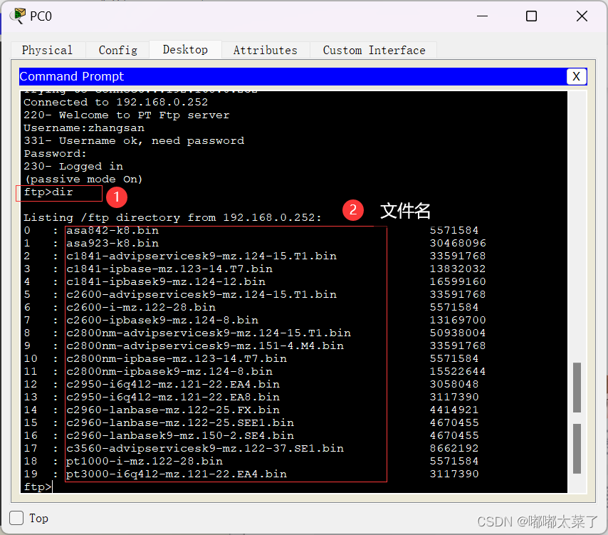 【Cisco Packet Tracer】DHCP/FTP/WEB/DNS实验插图(10)