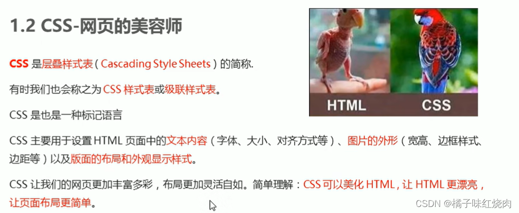 黑马程序员pink老师前端入门教程，零基础必看的h5(html5)+css3+移动端插图(62)