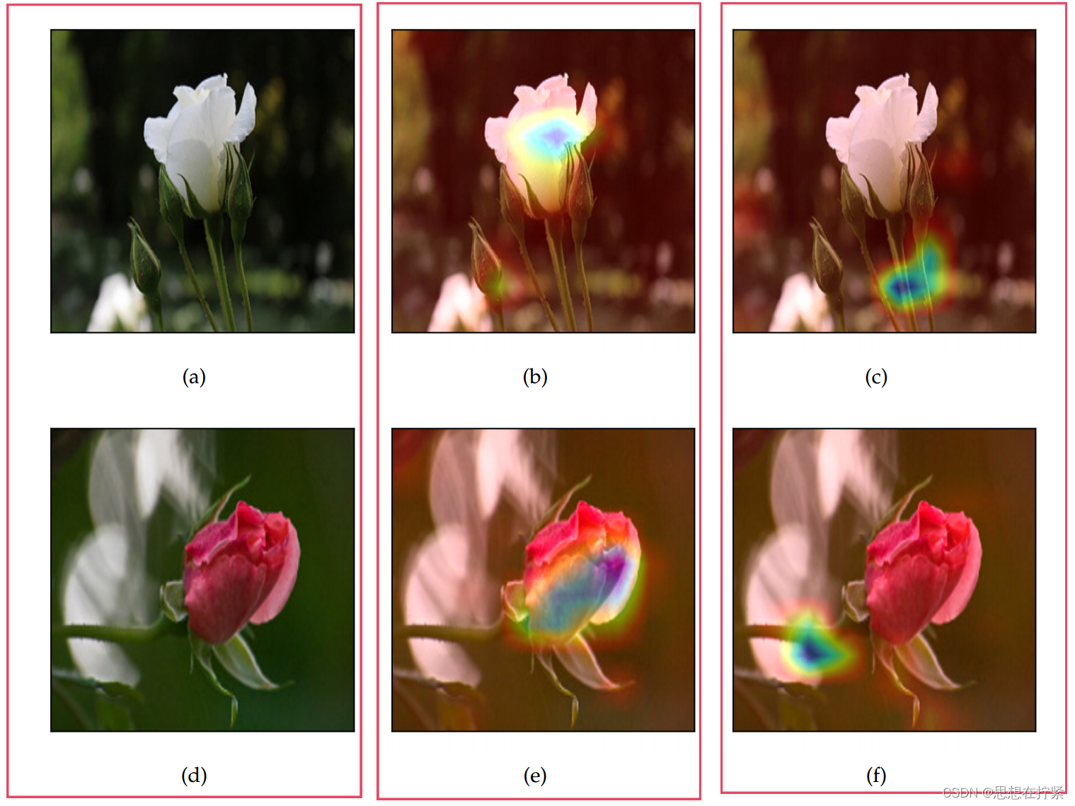 论文阅读 Explainable Image Similarity Integrating Siamese Networks and Grad-CAM插图