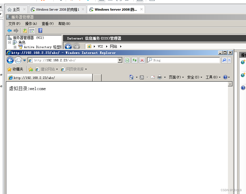 Windows Server 2008添加Web服务器（IIS）、WebDAV服务、网络负载均衡插图(5)