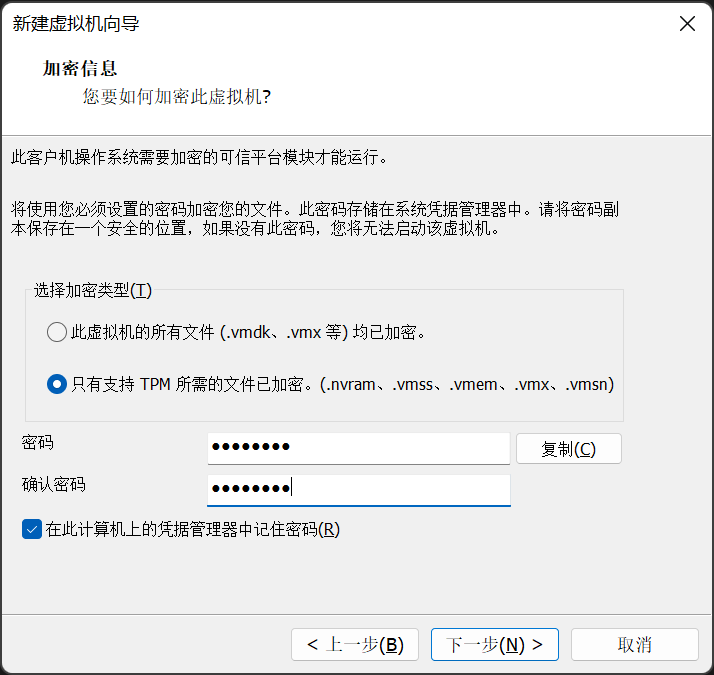 在VMware 17虚拟机上安装Windows 11操作系统（全程有图超级详细）+VMware使用技巧插图(18)