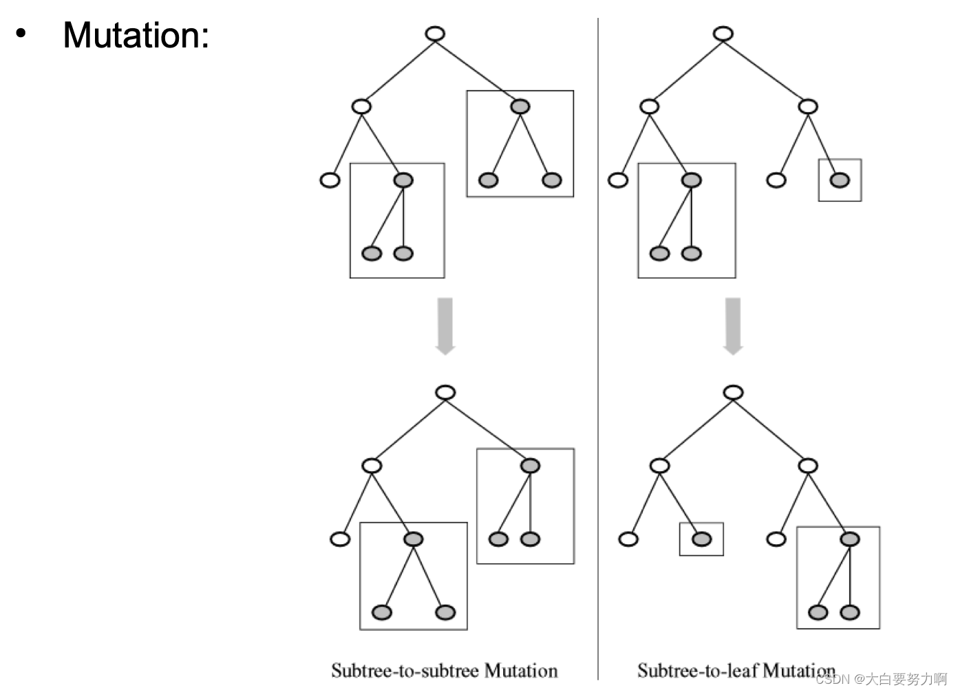 Data Mining2 复习笔记6 – Optimization & Hyperparameter Tuning插图(13)