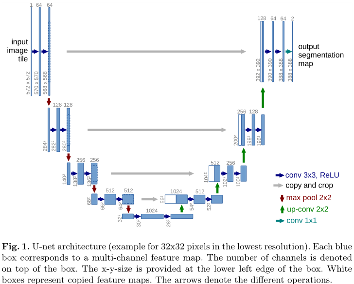 U-Net: Convolutional Networks for Biomedical Image Segmentation–论文笔记插图