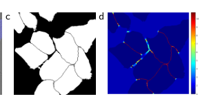 U-Net: Convolutional Networks for Biomedical Image Segmentation–论文笔记插图(5)