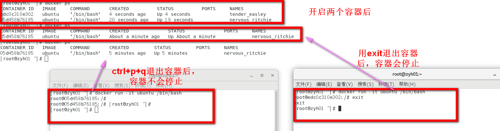 Docker基础入门插图(45)