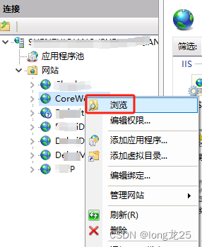 IIS上部署Asp.net core Webapi插图(26)