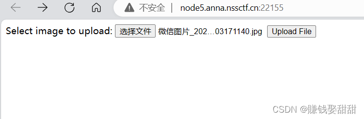 NSSCTF-Web题目6插图(7)