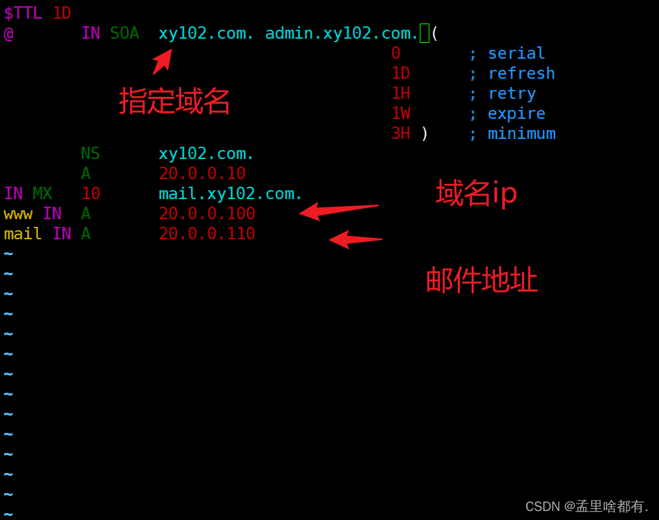 linuxDNS域名解析插图(3)