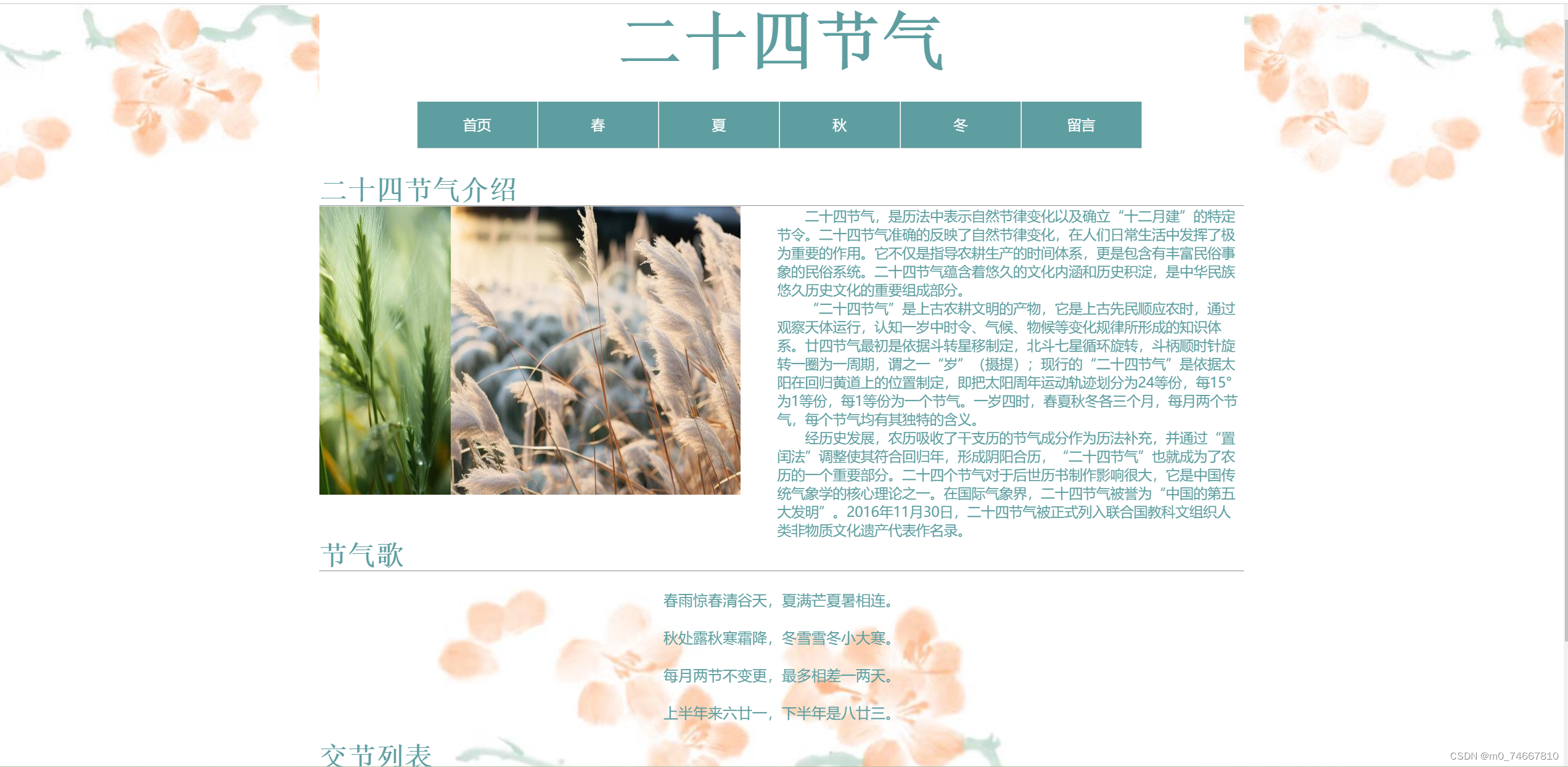 静态网页设计二十四节气网站HTML+CSS+JS(web期末大作业）插图