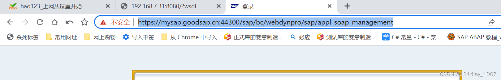 ABAP接口部分-Web Service提供者与消费者插图(142)