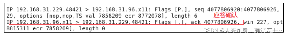 Linux基础 （十五）：TCP 协议特点和UDP协议插图(11)