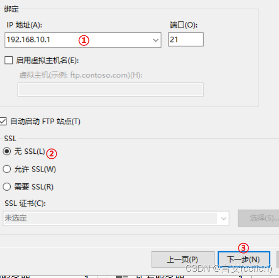 使用vm虚拟机搭建windows 服务器，并搭建DNS、web、ftp插图(24)