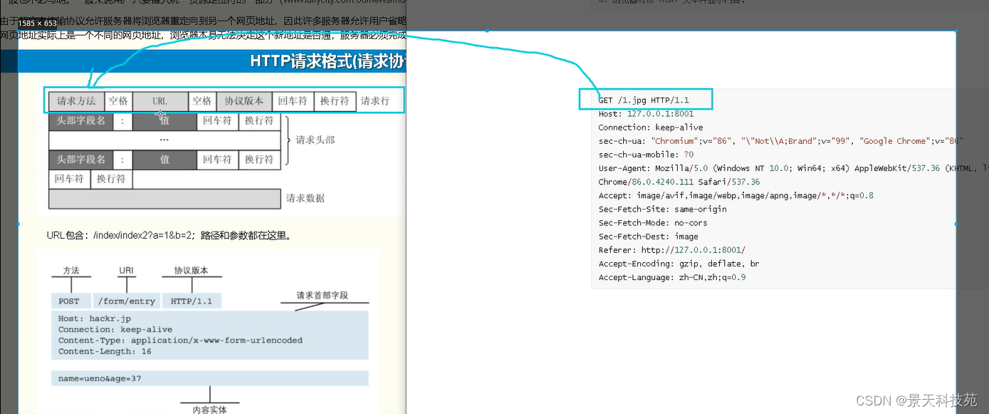 【计算机网络】http协议的原理与应用，https是如何保证安全传输的插图(5)