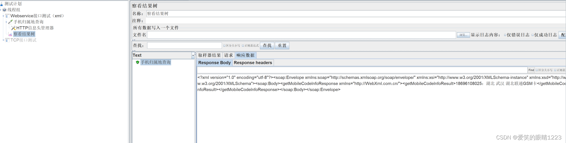 webservice和TCP类型接口测试插图(4)