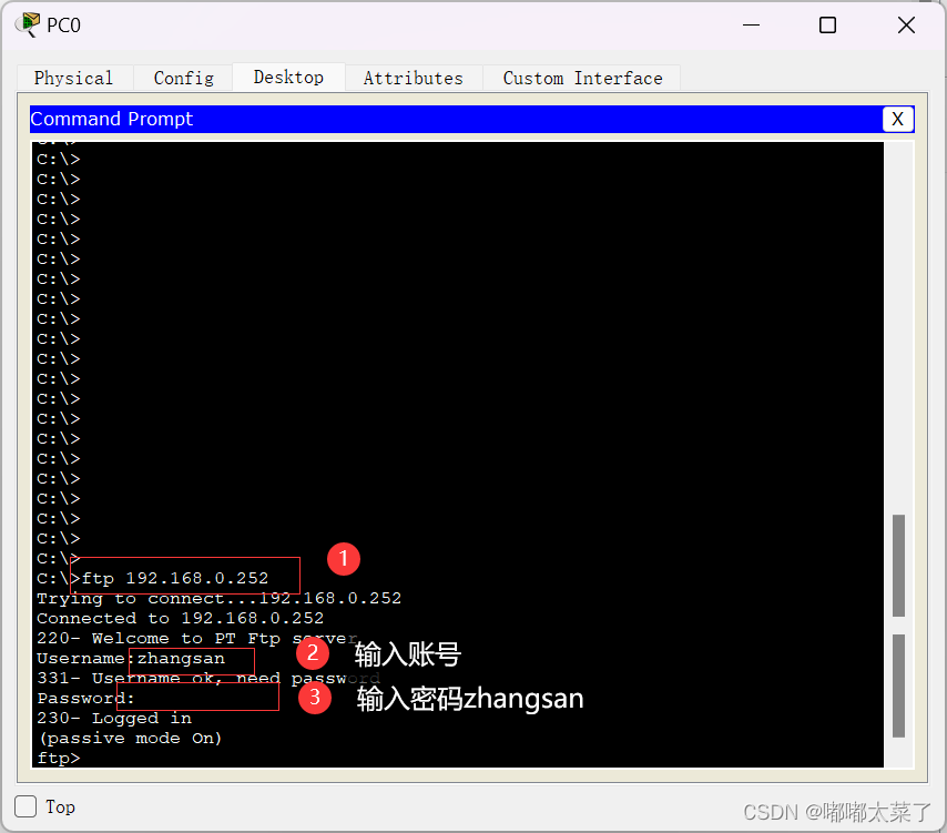 【Cisco Packet Tracer】DHCP/FTP/WEB/DNS实验插图(9)