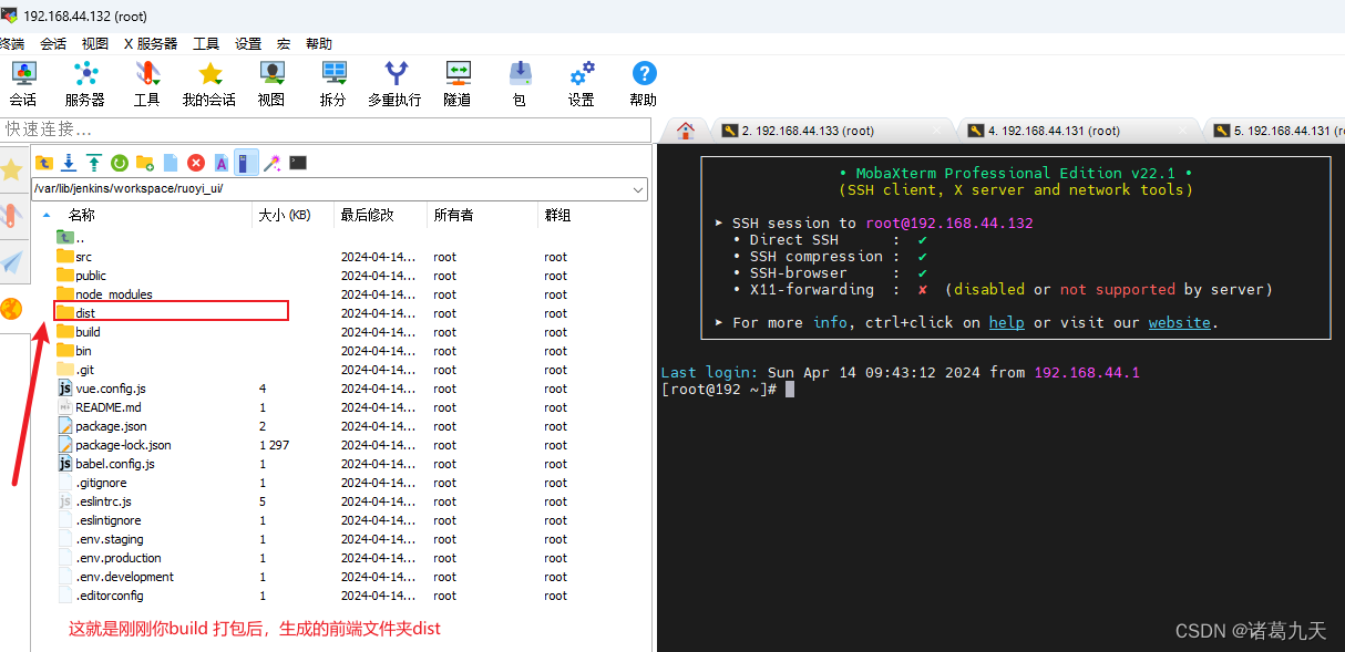 Jenkins配置前端自动打包部署（若依项目）插图(10)