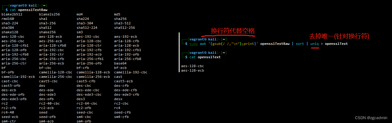 第四篇红队笔记-百靶精讲之Prime-wfuzz-wpscan-openssl enc插图(30)