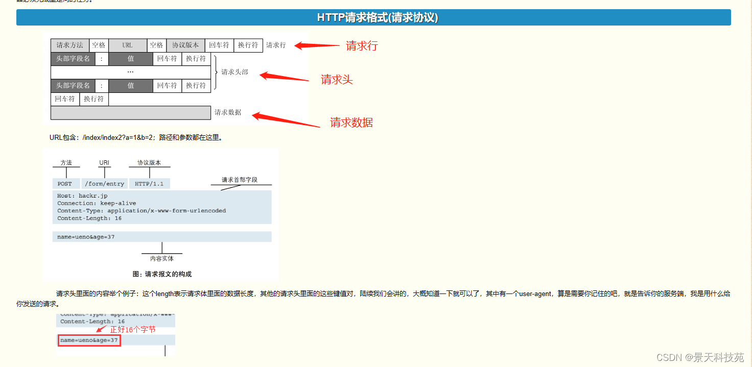 【计算机网络】http协议的原理与应用，https是如何保证安全传输的插图(4)